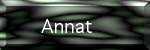 Annat